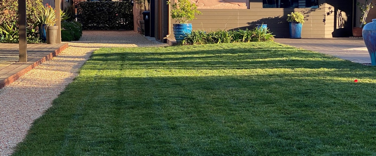 Culver City Backyard